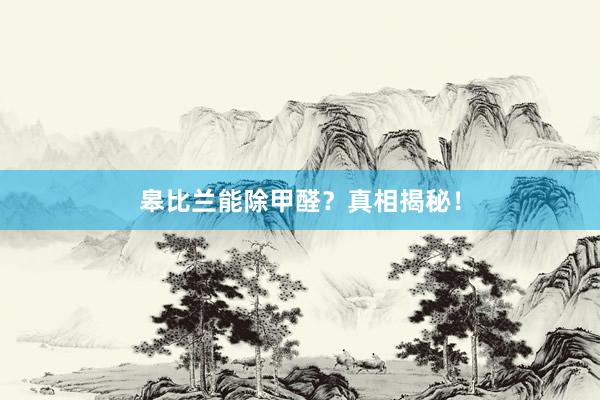 皋比兰能除甲醛？真相揭秘！